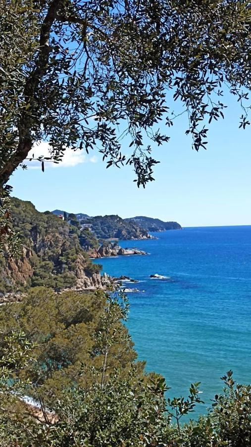 Daro Platja d'Aro (Playa de Aro)